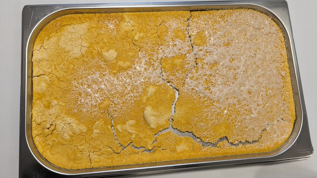 Fehler bei der Gefriertrocknung