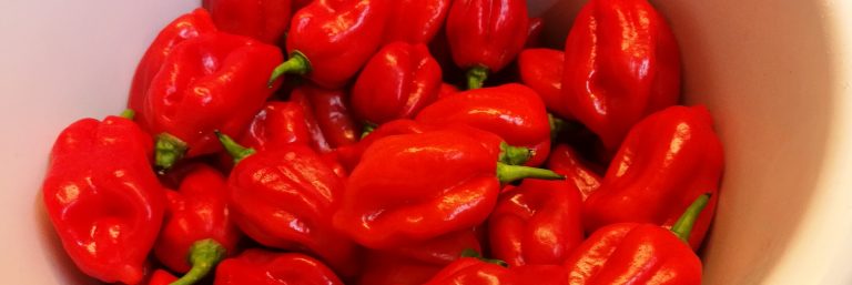 Chiliverarbeitung ohne Schmerzen